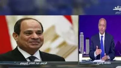 مصر والسعودية: دعائم الأمة العربية في مواجهة محاولات الفتنة