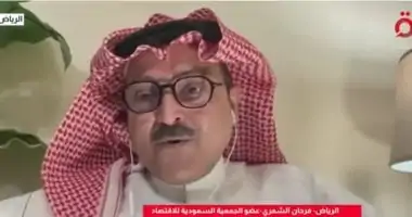 عضو في الجمعية السعودية للاقتصاد: مجلس التنسيق يفتح آفاق جديدة للتجارة والاستثمار مع مصر