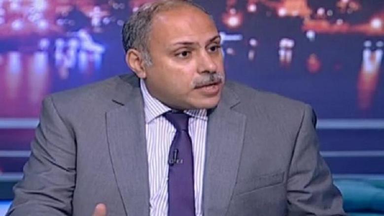 أستاذ علوم سياسية: محاولات زعزعة العلاقة بين مصر والسعودية doomed to fail