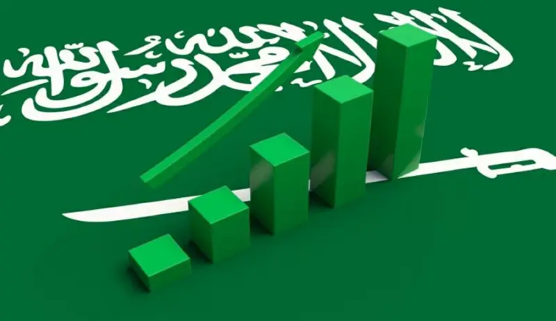 الجمعية السعودية للاقتصاد: تنسيق مشترك بين مصر والمملكة يسهم في تعزيز التجارة والاستثمار