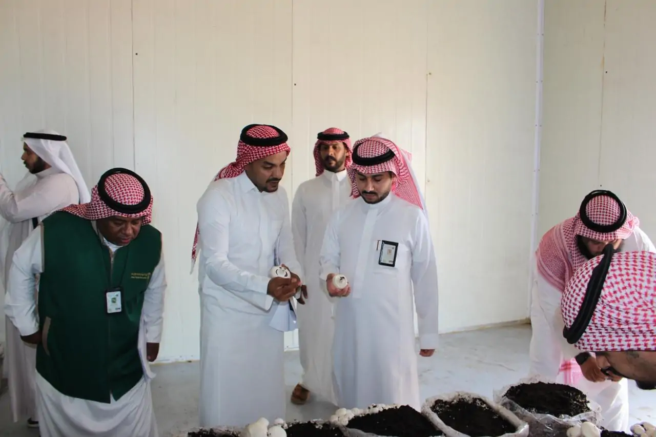بيئة جدة تستكشف مزرعة مبتكرة لإنتاج الفطر في الغولاء