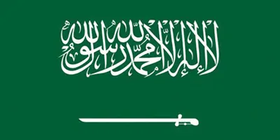 المملكة تُرحب بدعوة الشركاء الدوليين لوقف الحرب على غزة