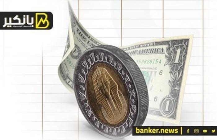 مصر تحول أزمة شح الدولار إلى وفرة غير مسبوقة في البنوك: كيف قلبت المعادلة؟