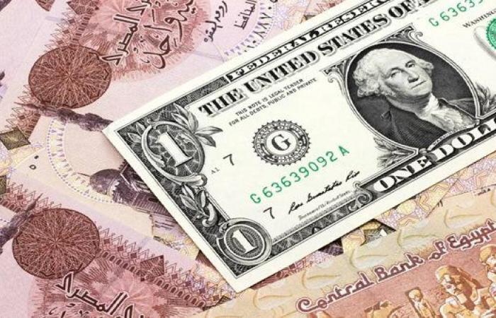ارتفاع الدولار: الأسباب والتداعيات على الاقتصاد المصري والجنيه