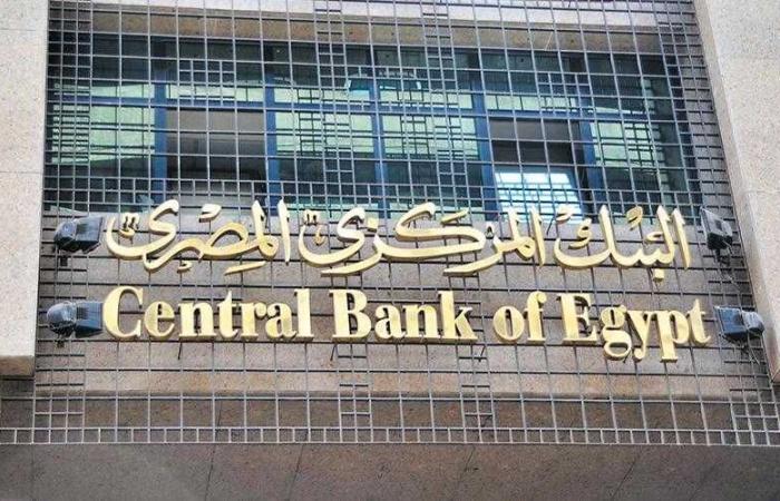 ارتفاع ملحوظ في تحويلات المصريين بالخارج: 82.7% زيادة خلال 9 أشهر