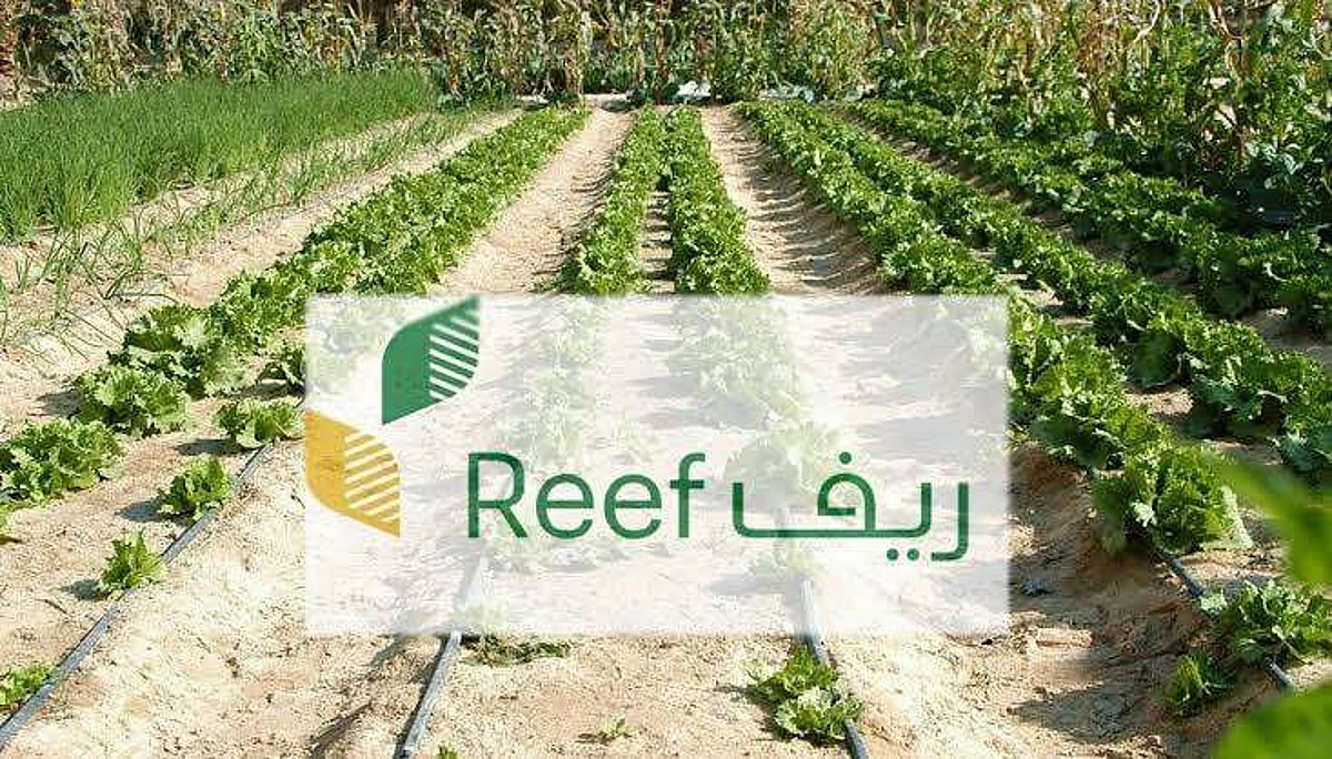 “ريف السعودية” يطلق مشروعًا مبتكرًا لرفع كفاءة زراعة أنسجة أشجار البُن بمعدل 30%