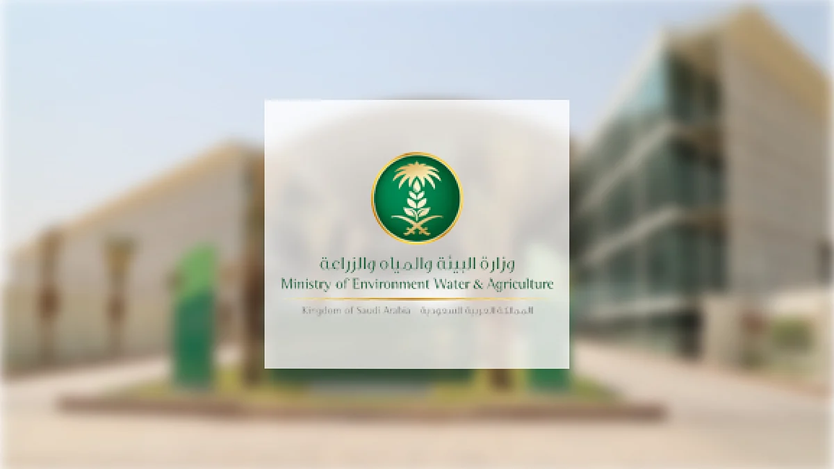 المملكة تُحقق المركز الأول عالميًا في السلامة المائية والإنقاذ وتقليص وفيات الغرق بأكثر من 17%