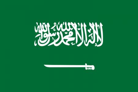 المملكة تؤكد دعمها لبيان الشركاء الدوليين من أجل إنهاء الحرب في غزة